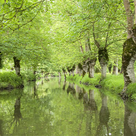 le Marais Poitevin en Vendée